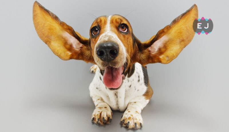 Ear Plug Sizing Guide: How to Find the Perfect Fit