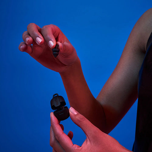 Alpine Partyplug Music Earplugs